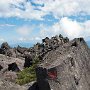 三石山付近。あるくというより、飛んだりよじ登ったり。一旦下り、雨池山峠が近くなると、粘土層の樹林帯の道になる。ダラダラとした登りで蒸し暑い。